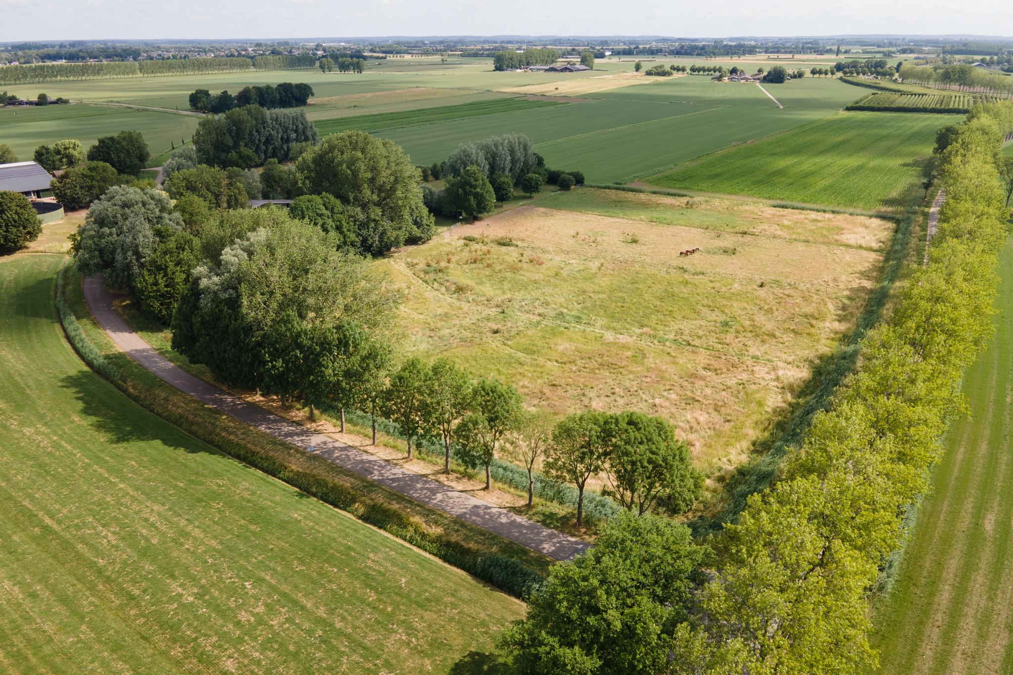 Hennisdijk 10, afbeelding 7