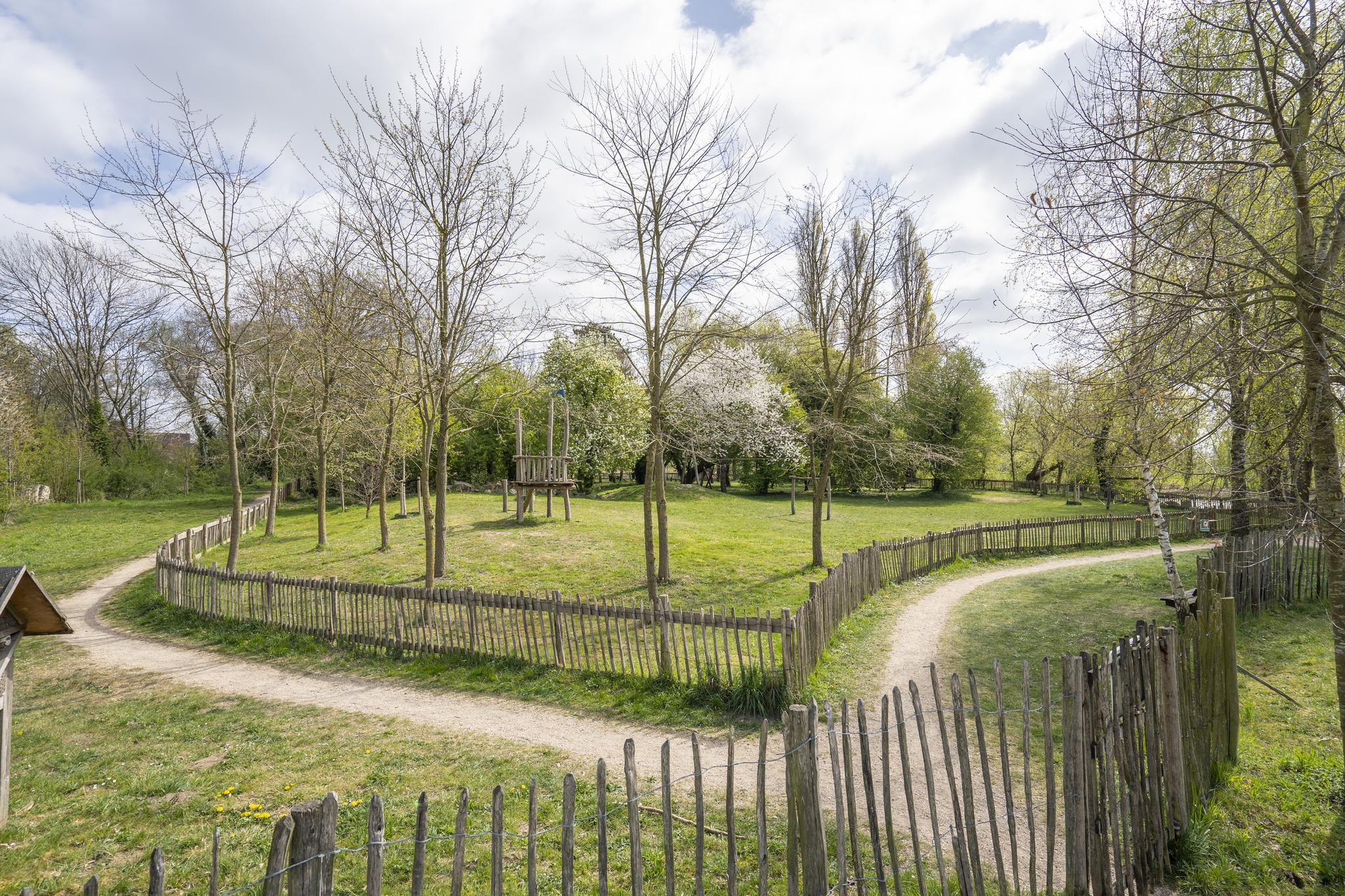 Goslar 17, afbeelding 33