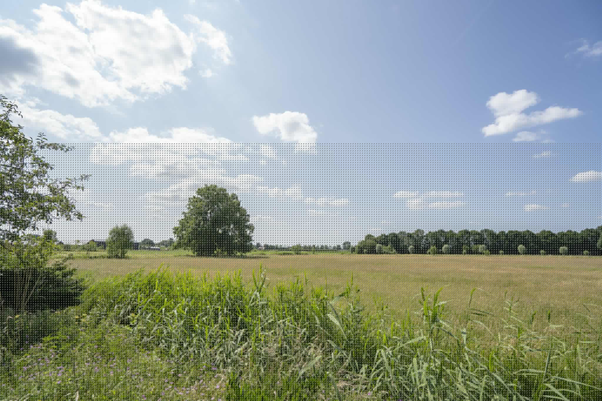 Achtermonde 31, afbeelding 54