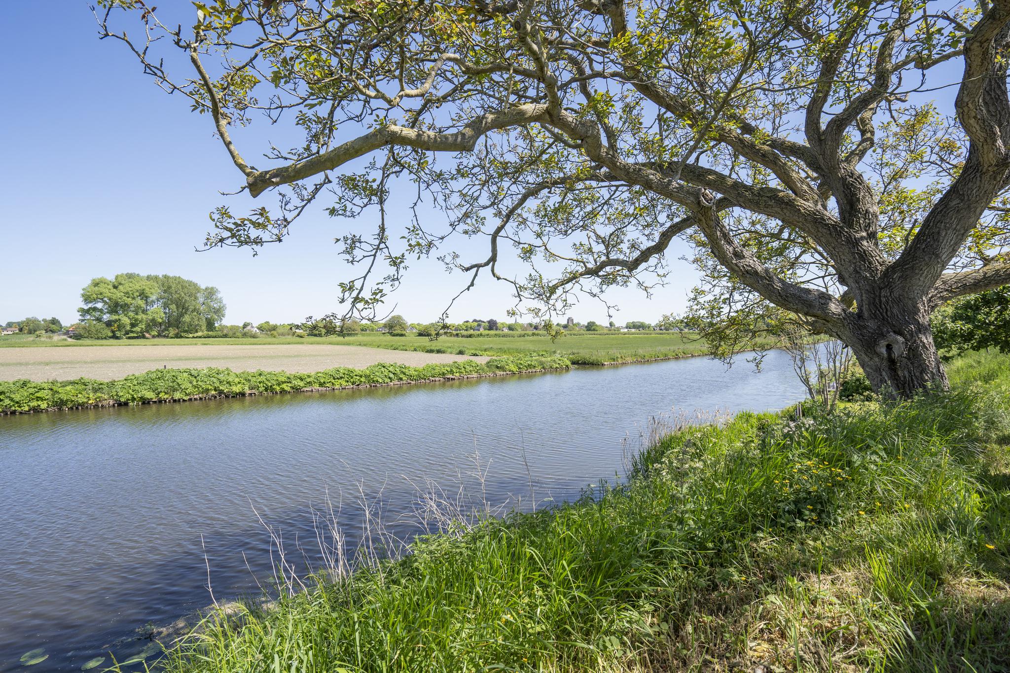 Achtermonde 31, afbeelding 61