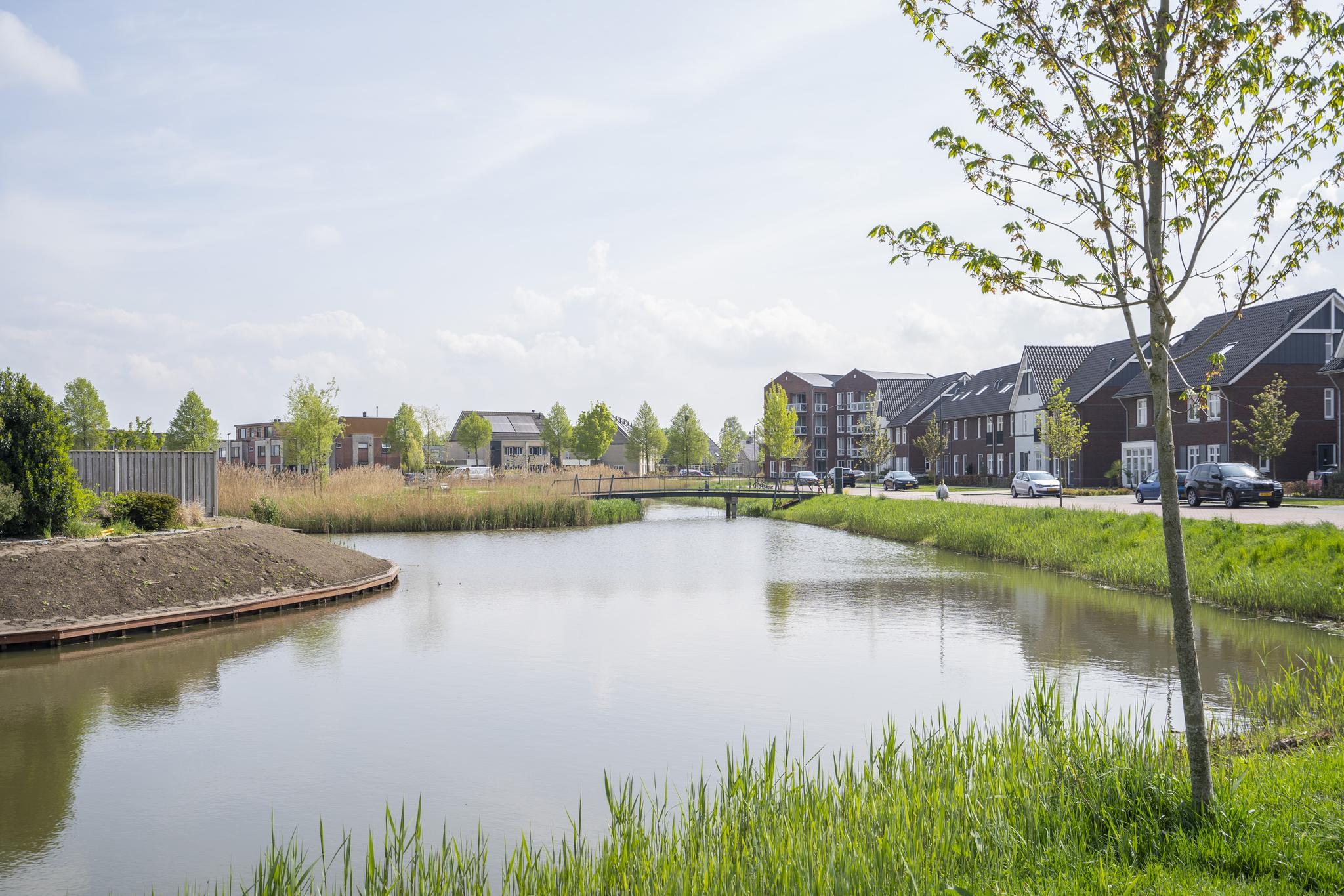 Boomgaard 49, afbeelding 39