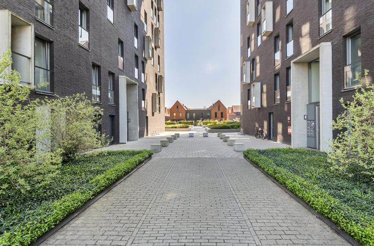 Afbeelding 27