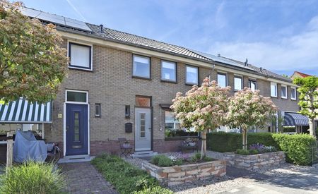 J.C. Rijsdijkstraat 22