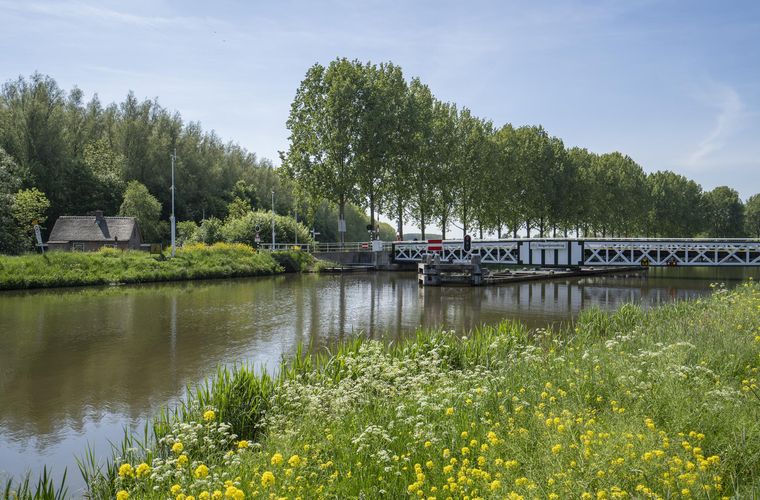 Afbeelding 55
