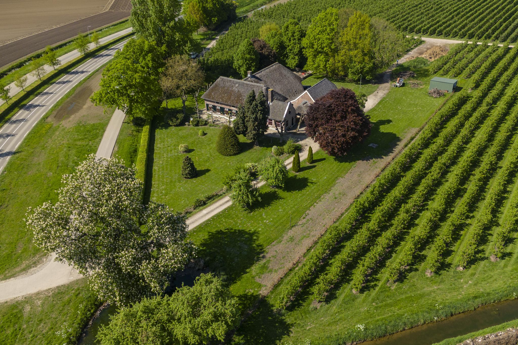 Blankertseweg 8, afbeelding 0