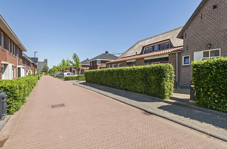 Afbeelding 67