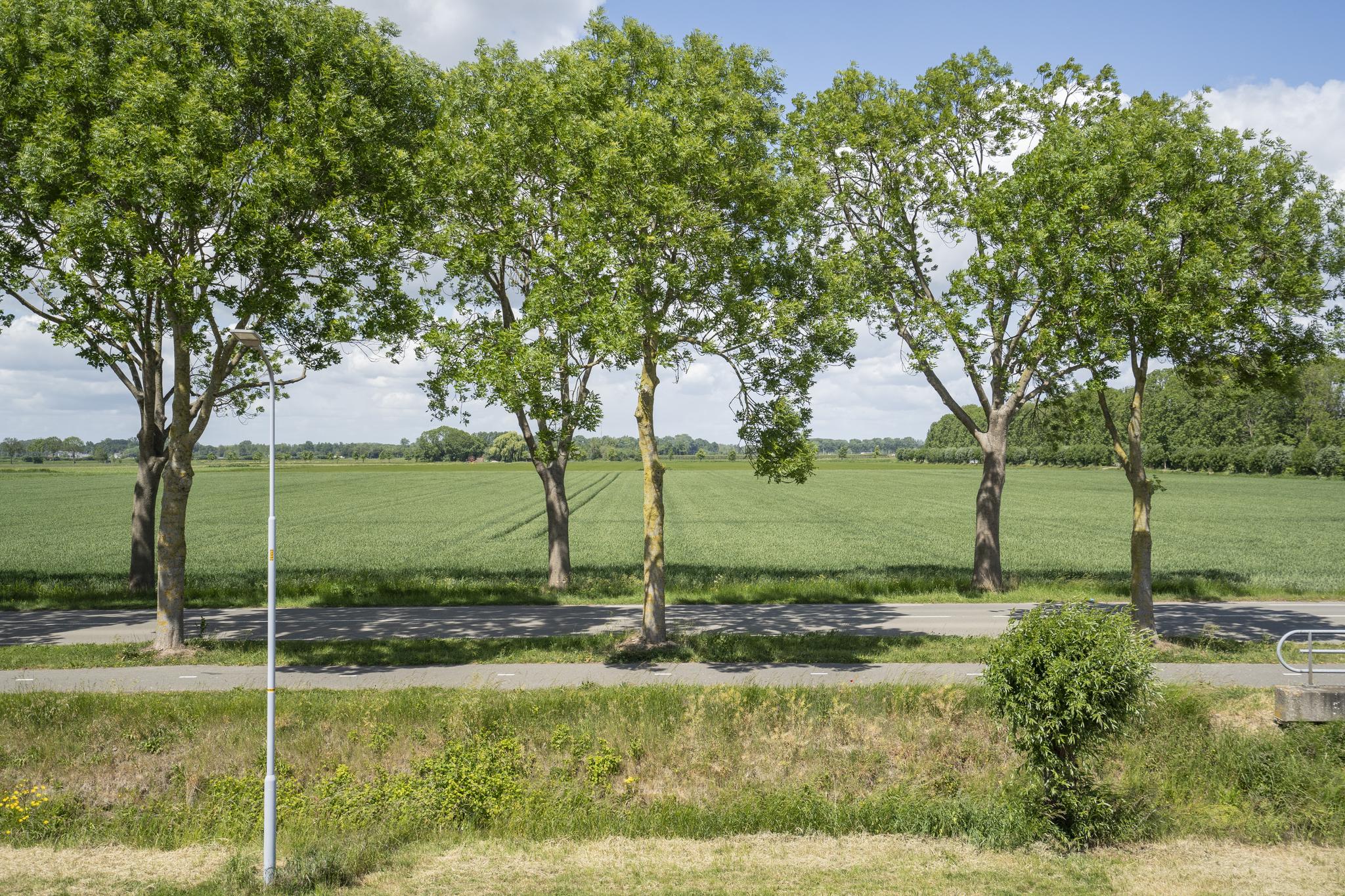 Tulpenlaan 10, afbeelding 34