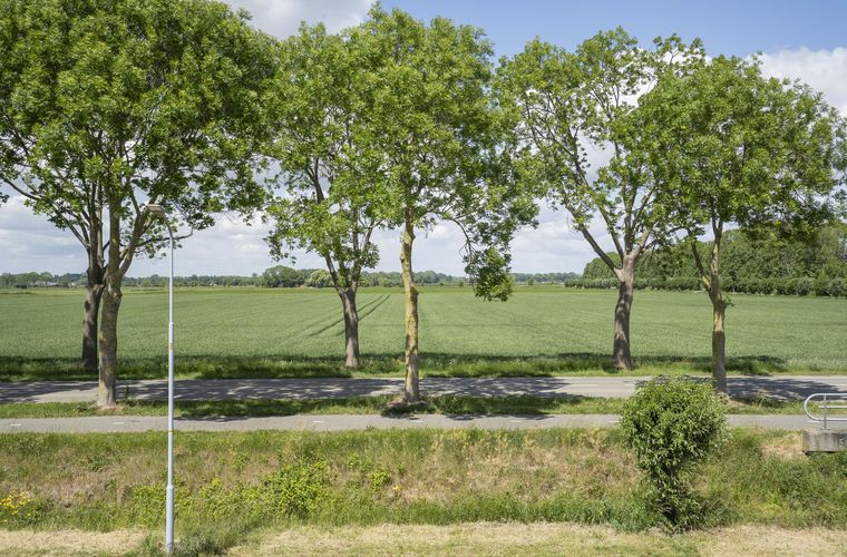 Afbeelding 34