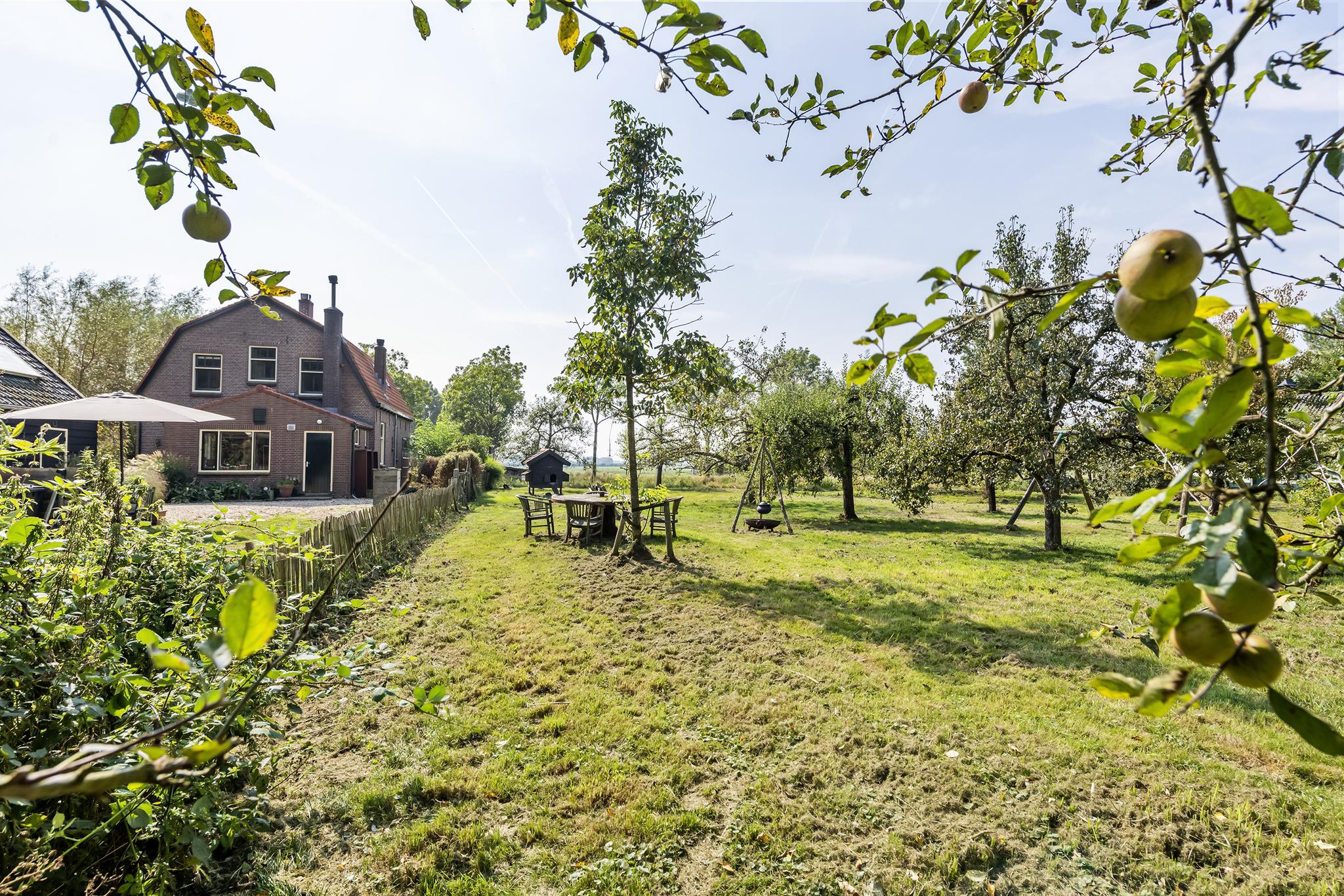 Overboeicop 8, afbeelding 11