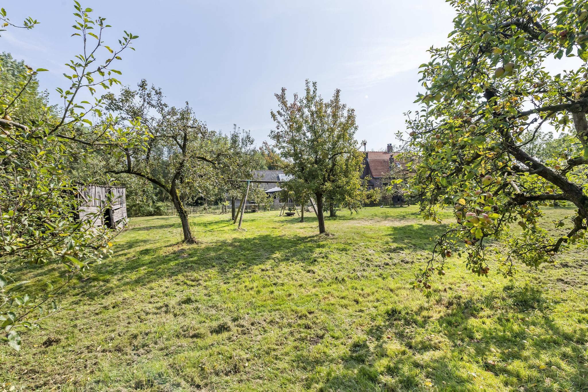 Overboeicop 8, afbeelding 12