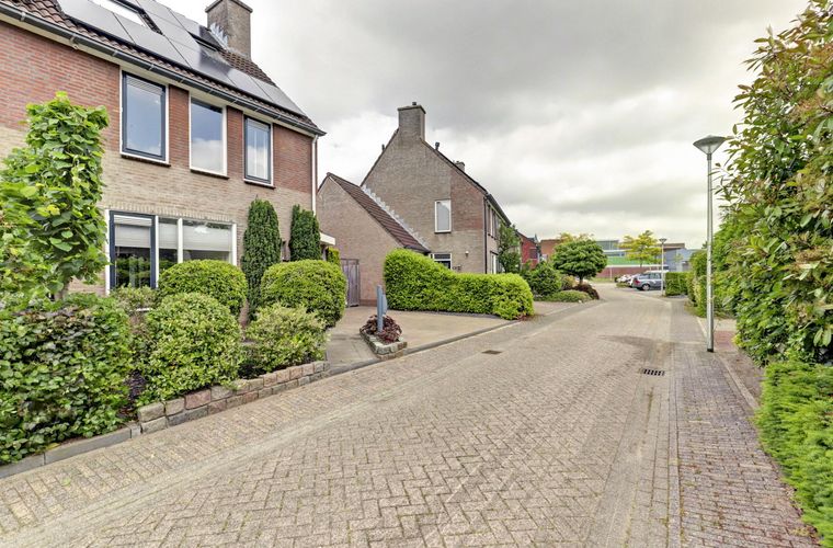 Afbeelding 16