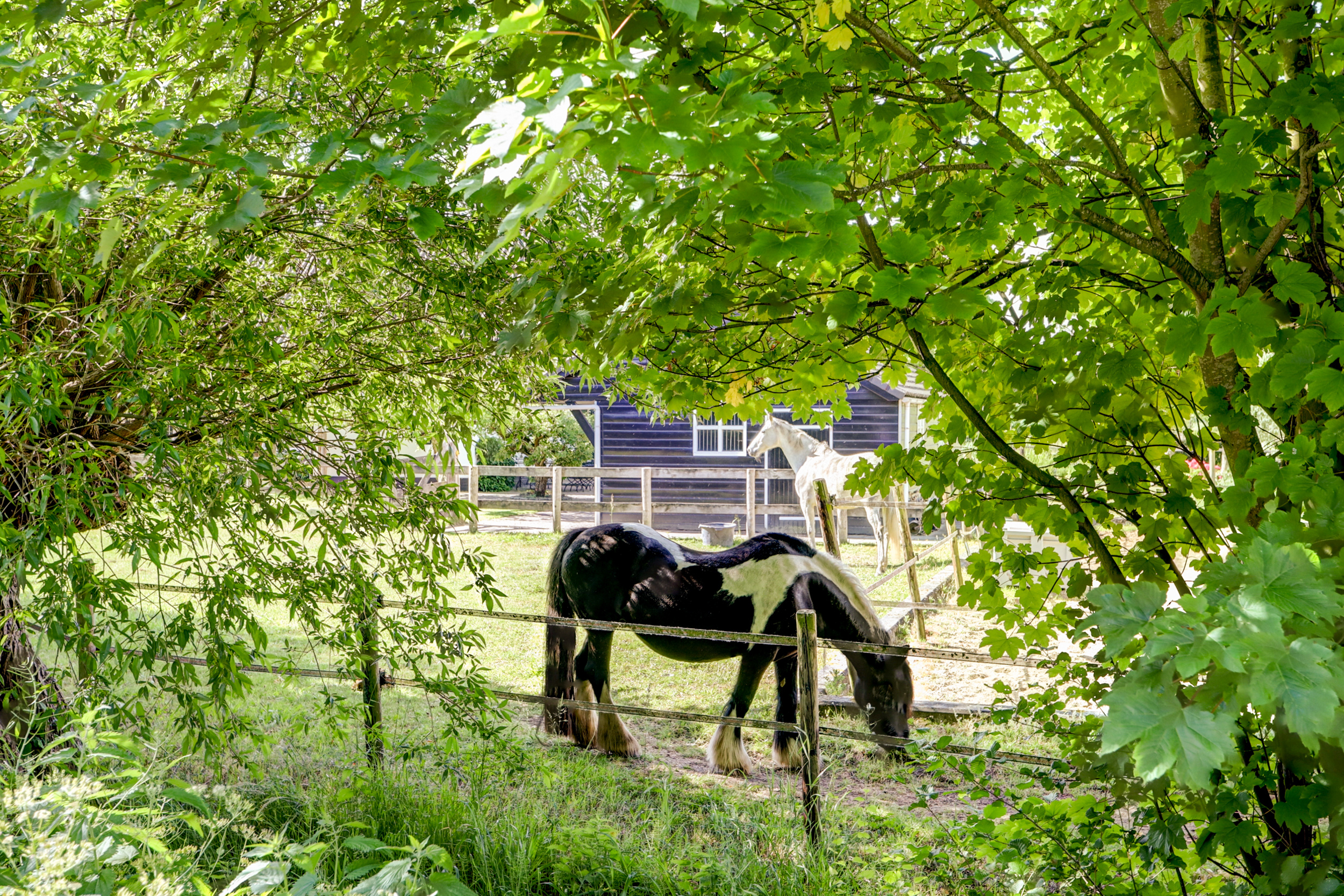 Kerkeinde 14, afbeelding 60