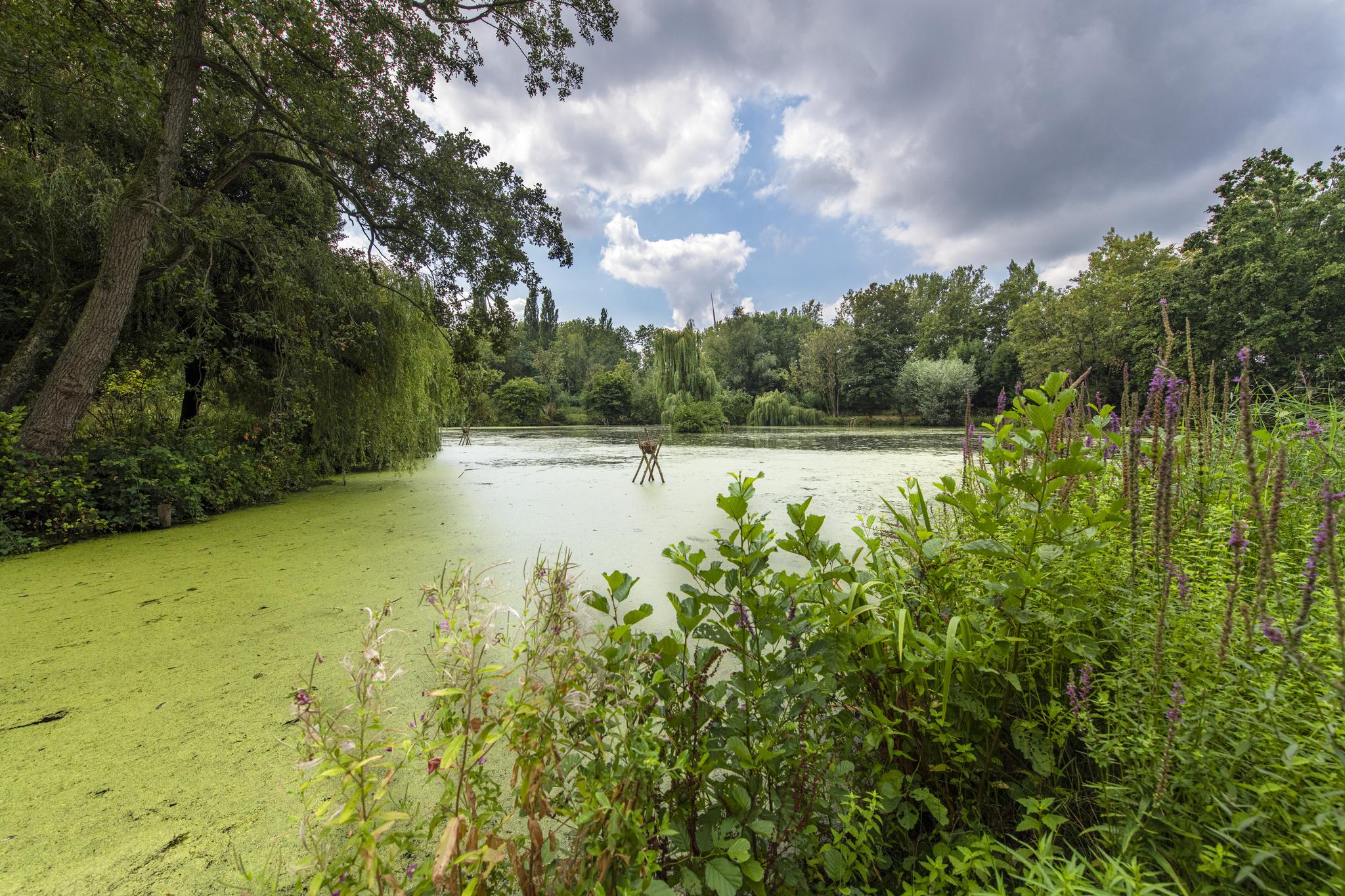 Kooiweg 1, afbeelding 13
