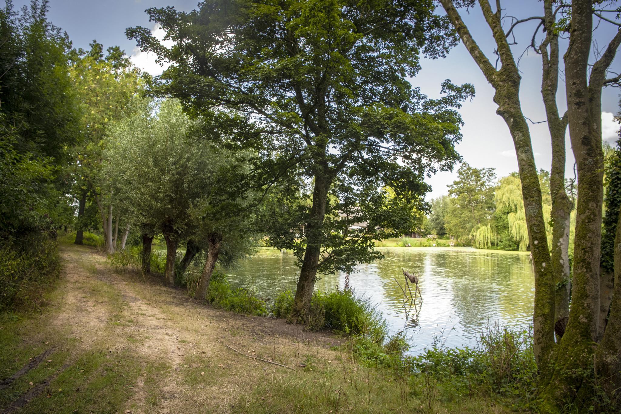 Kooiweg 1, afbeelding 15