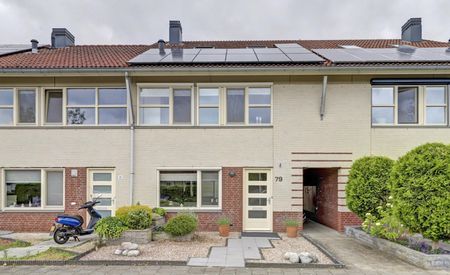 L. Wildschutstraat 79