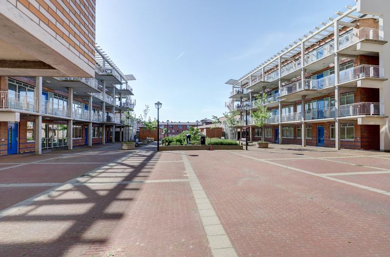 Afbeelding 31