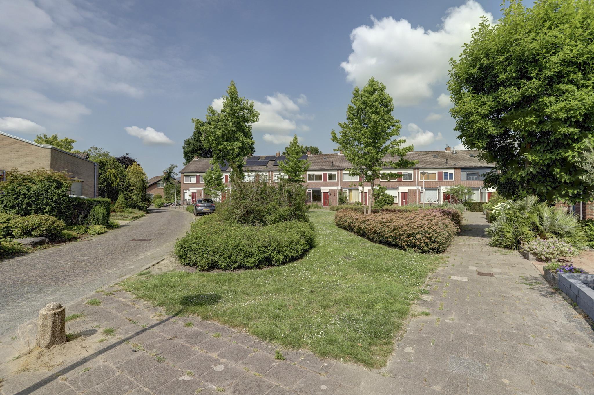 Griend 39, afbeelding 38