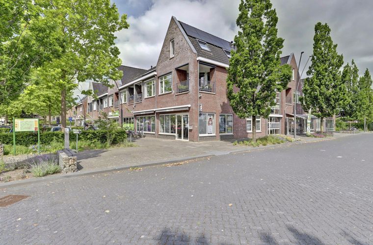 Afbeelding 31