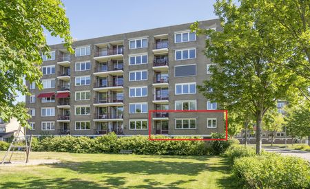 Menno ter Braakstraat 58