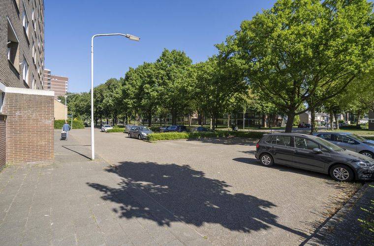 Afbeelding 29
