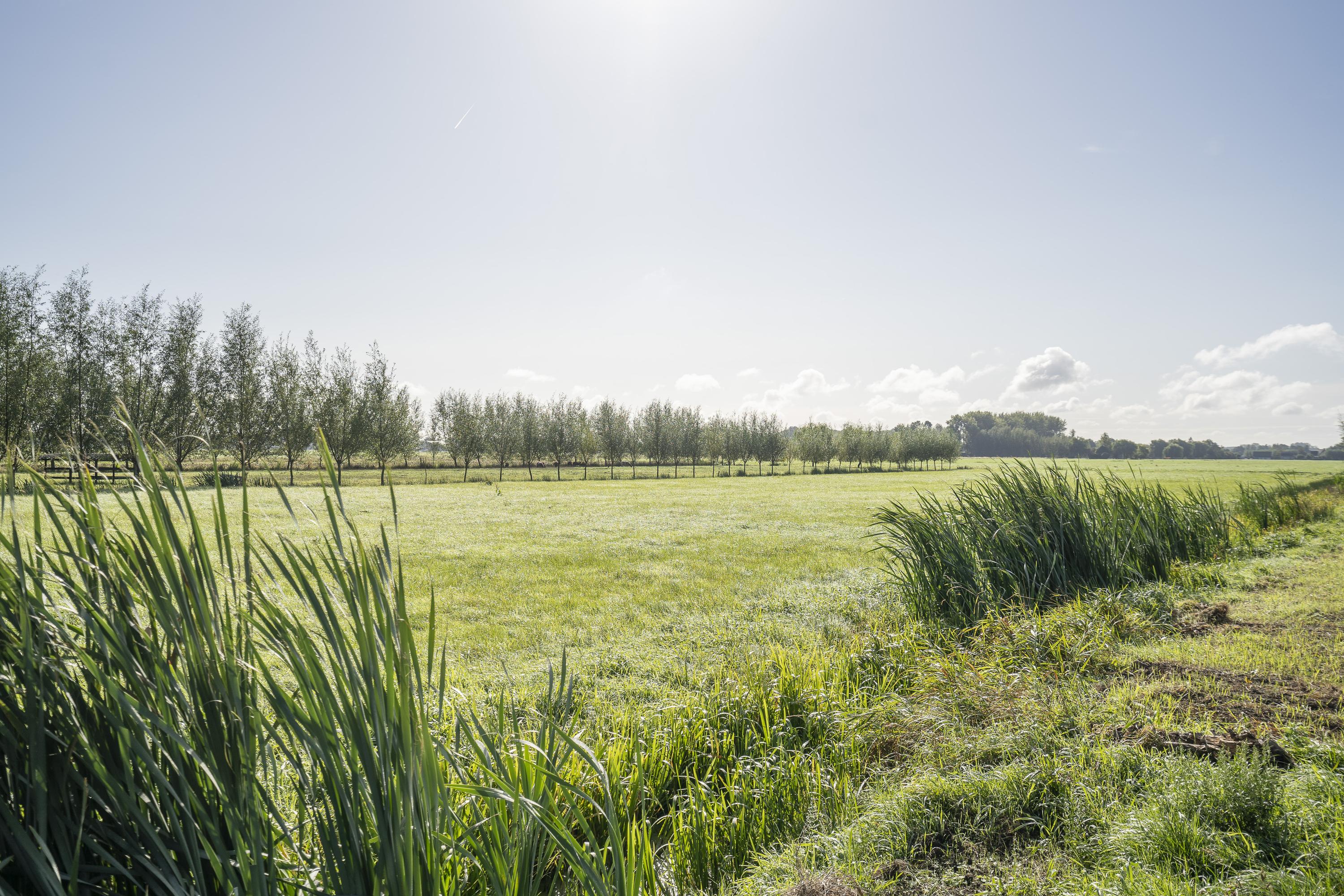 Geer 33, afbeelding 46