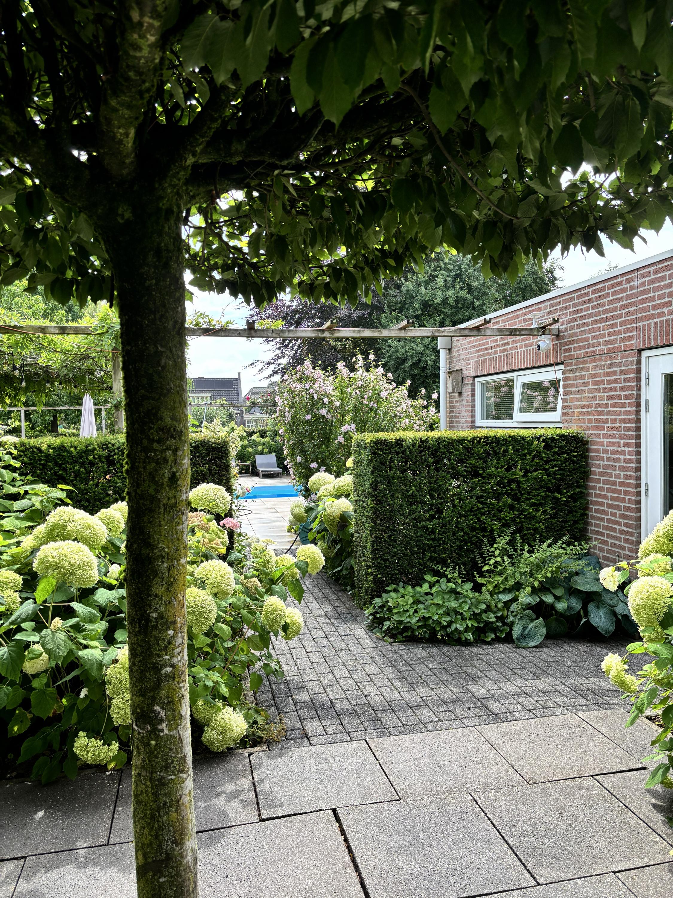 Laageinde 92b, afbeelding 44