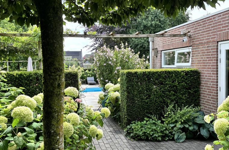 Afbeelding 44