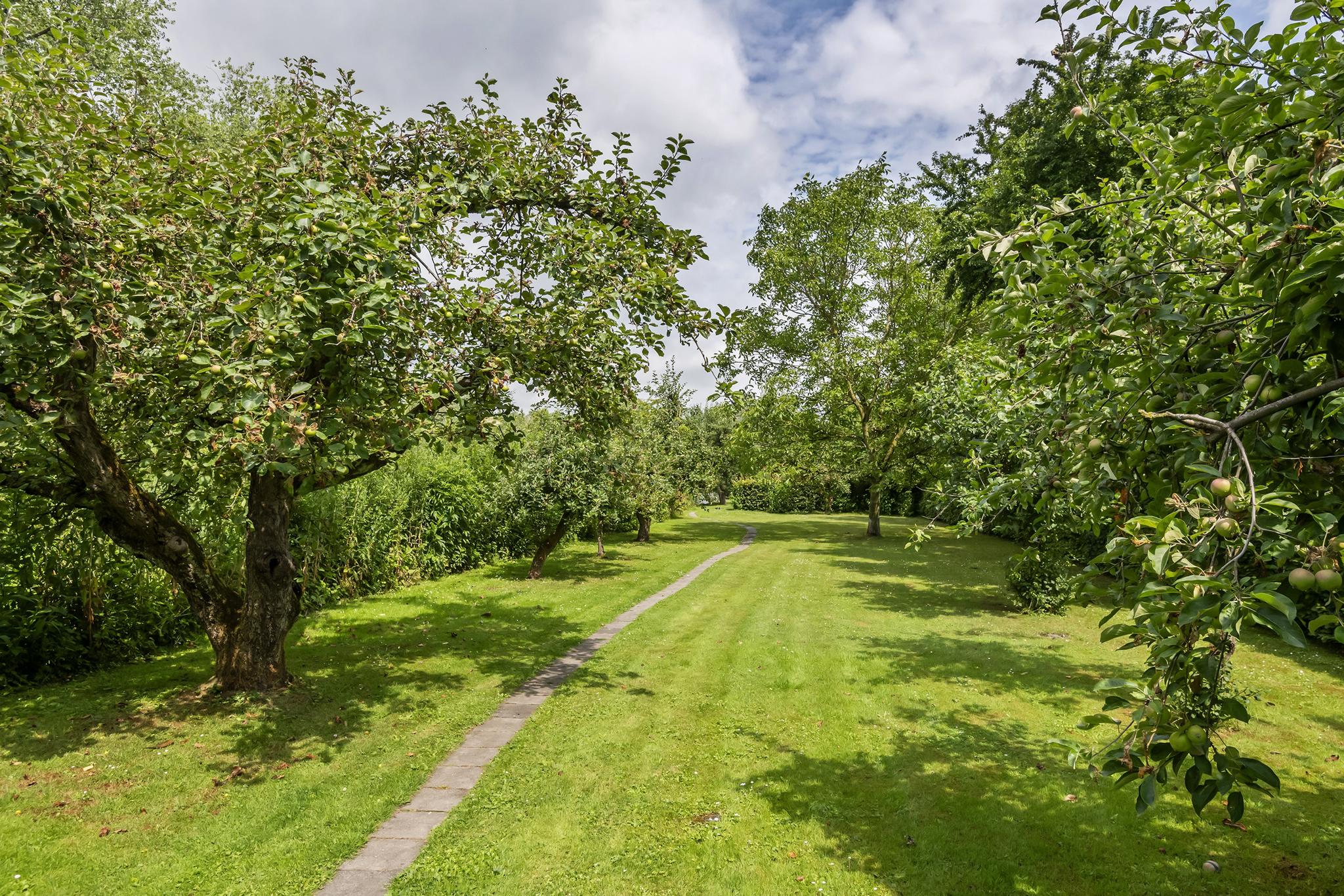 Zuiderlingedijk 10, afbeelding 54