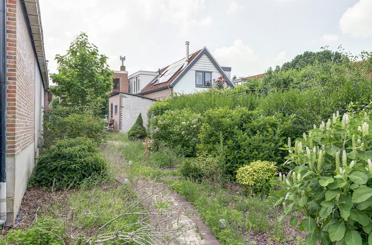 Afbeelding 33