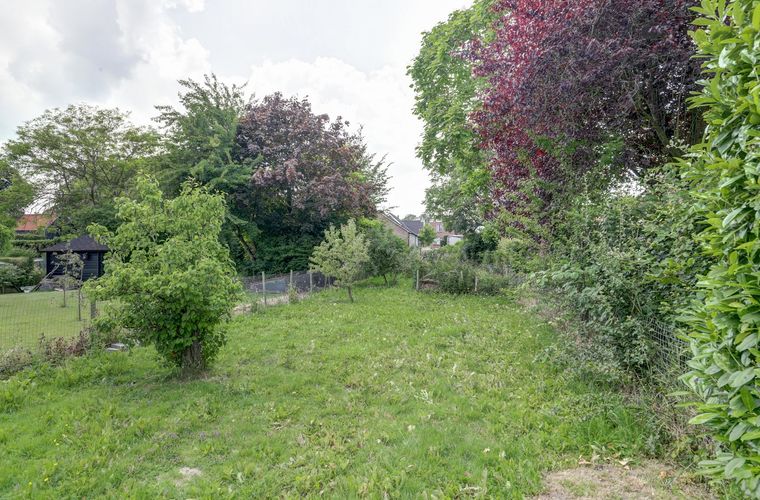 Afbeelding 36