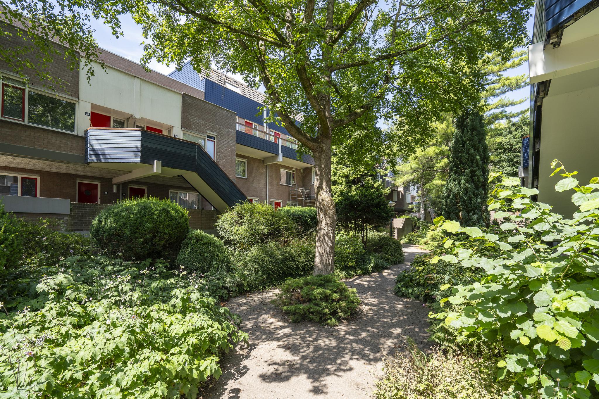 Doornenburg 125, afbeelding 4