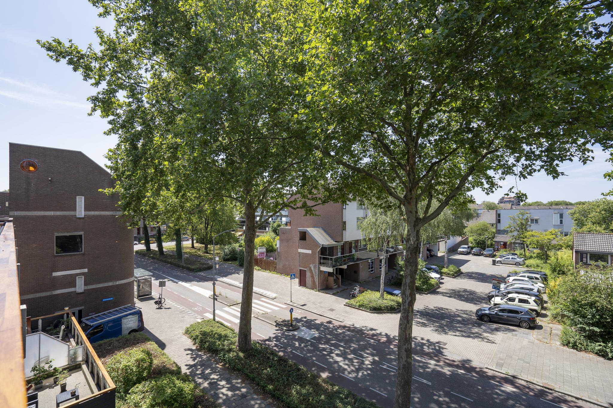 Doornenburg 125, afbeelding 13