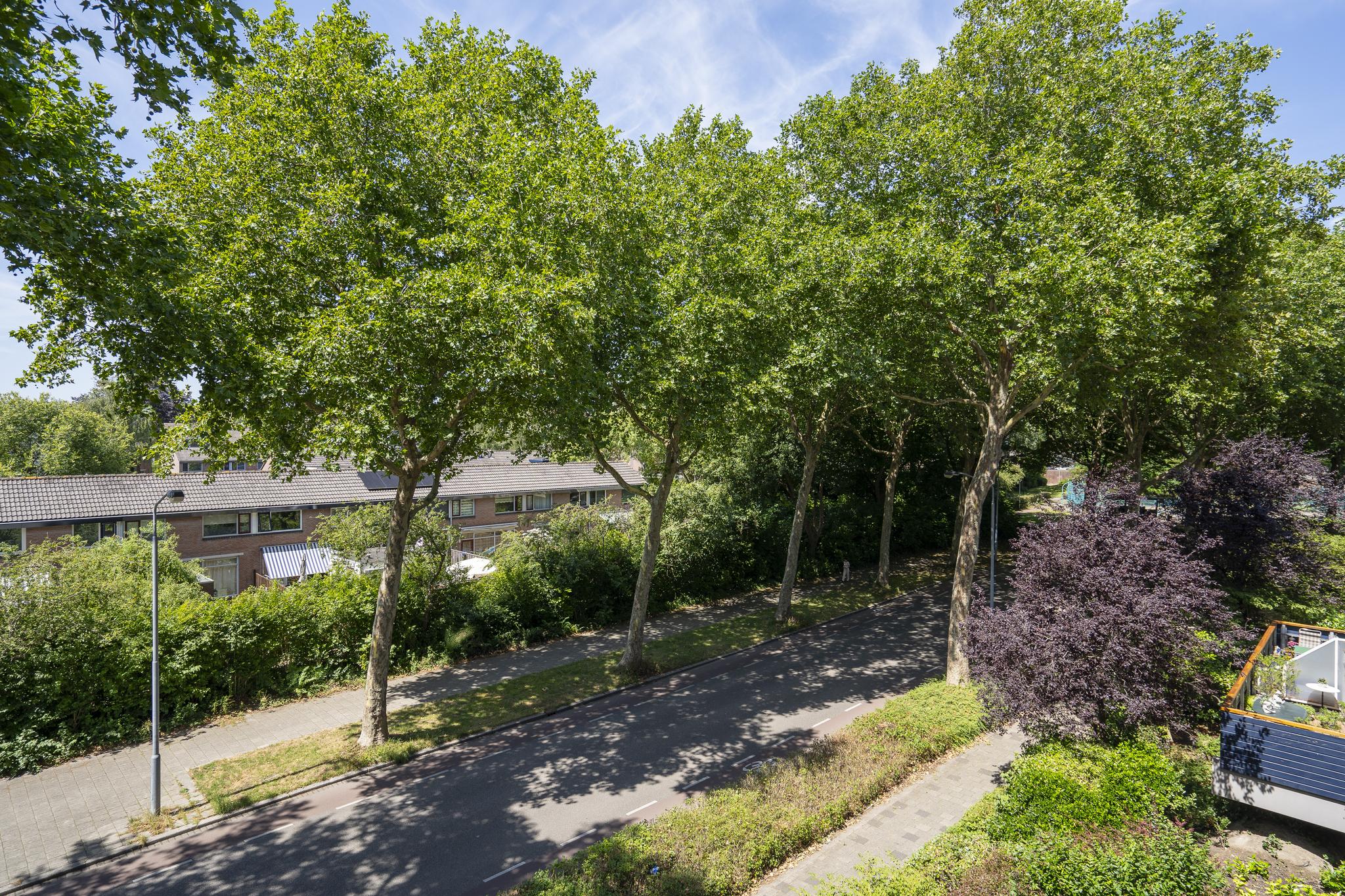 Doornenburg 125, afbeelding 15