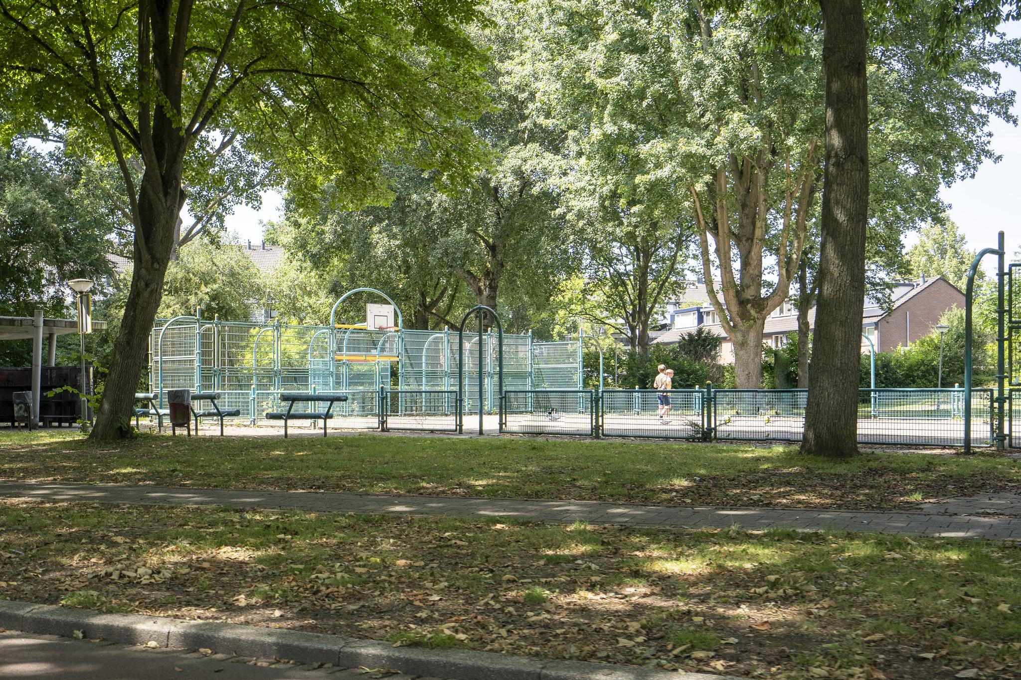 Doornenburg 125, afbeelding 33