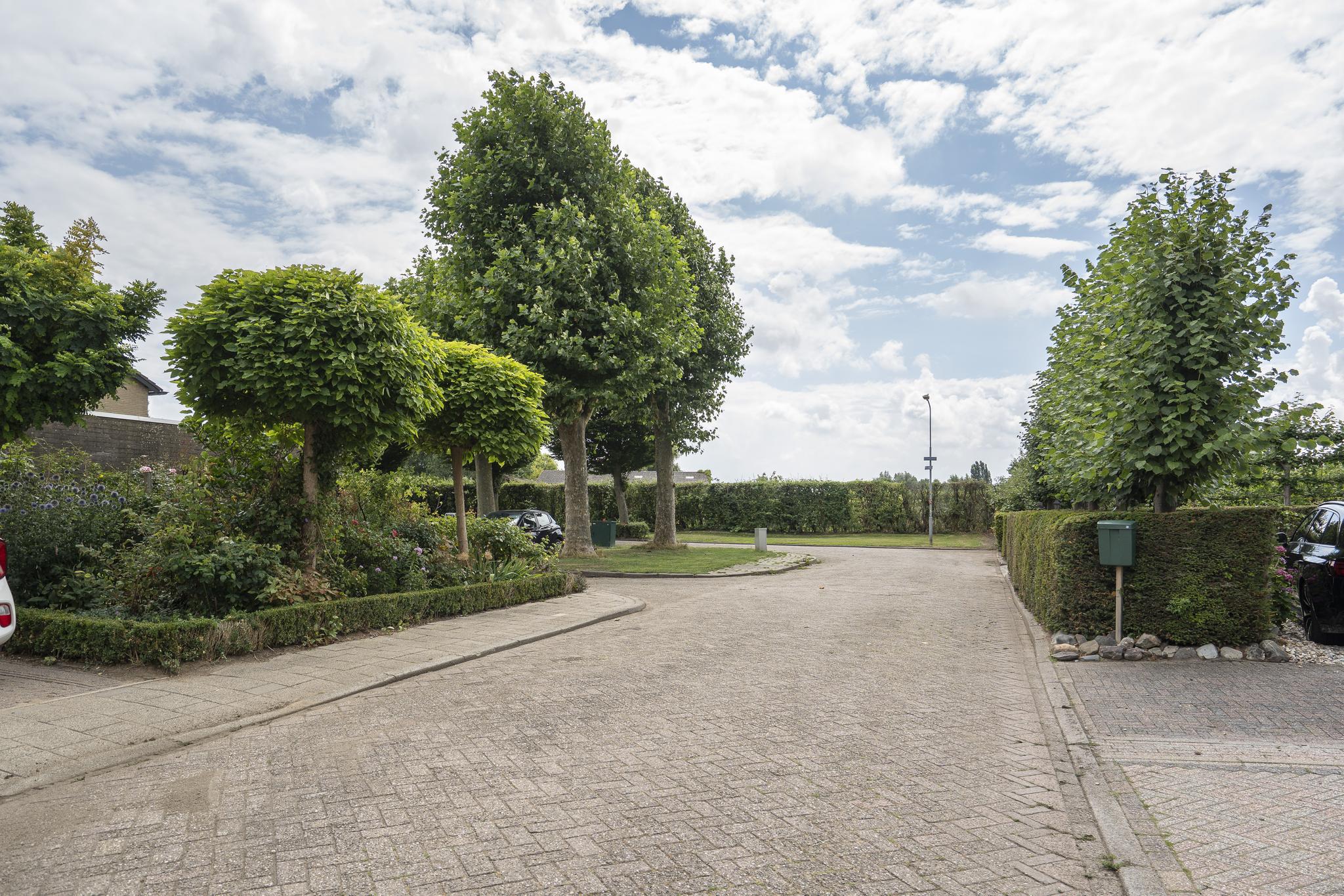 Wilgenlaan 6, afbeelding 42