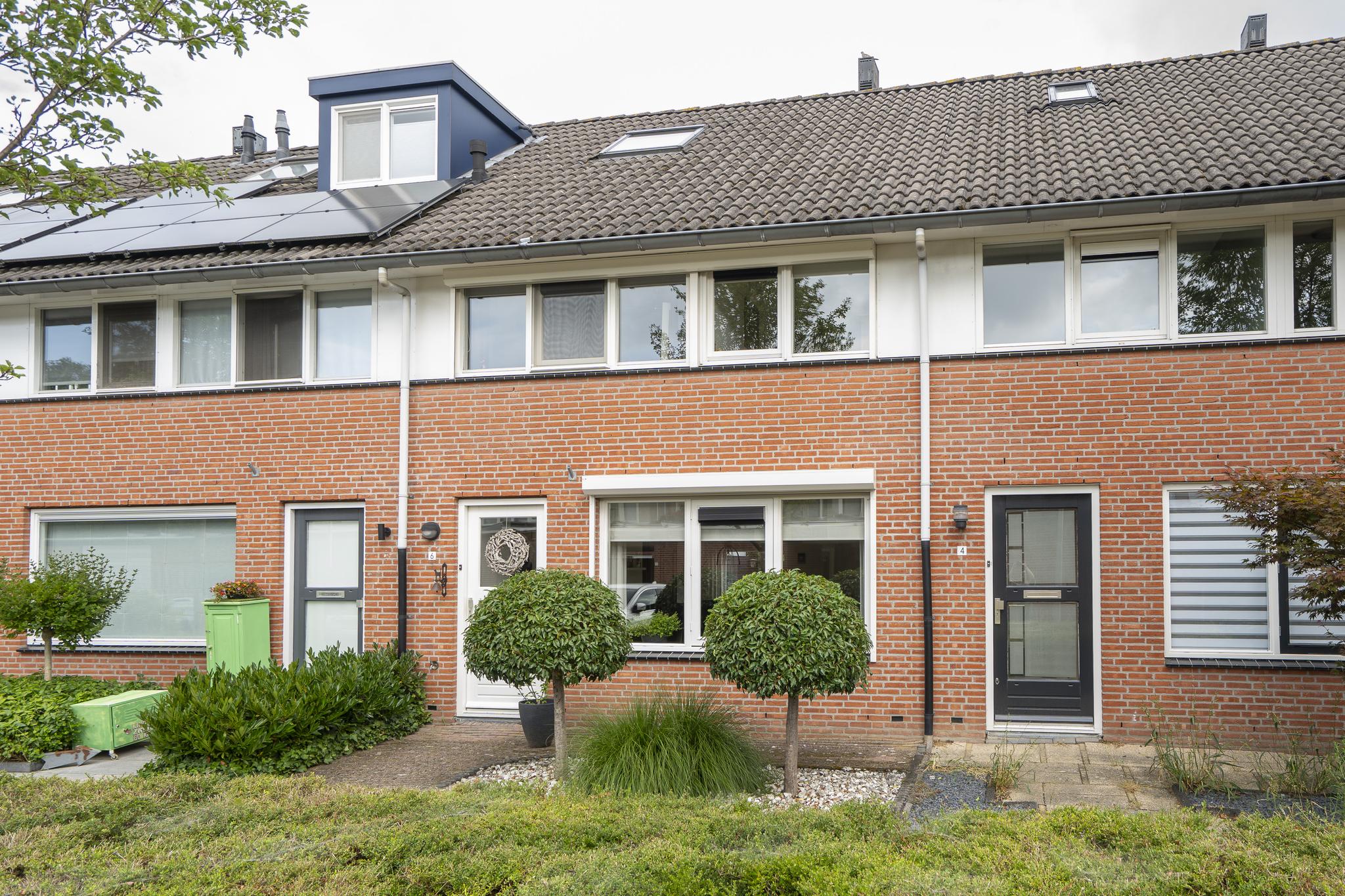 Troubadour 6, afbeelding 4