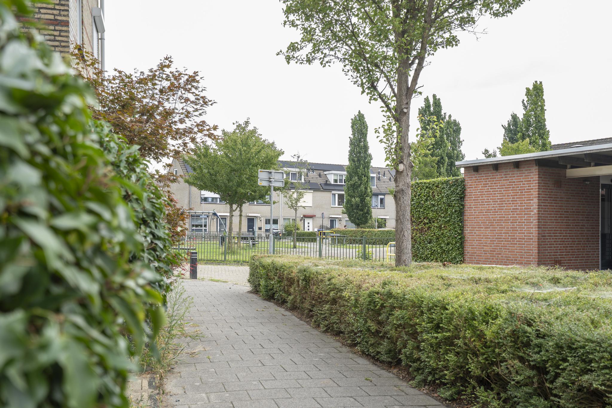 Troubadour 6, afbeelding 42