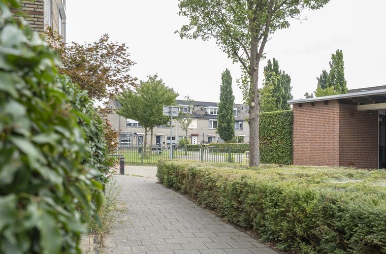 Afbeelding 42