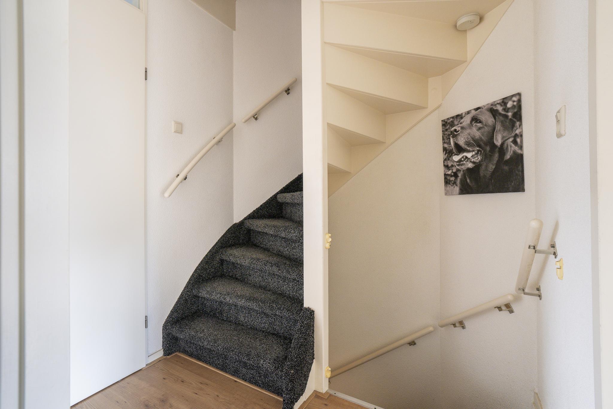 Troubadour 6, afbeelding 29