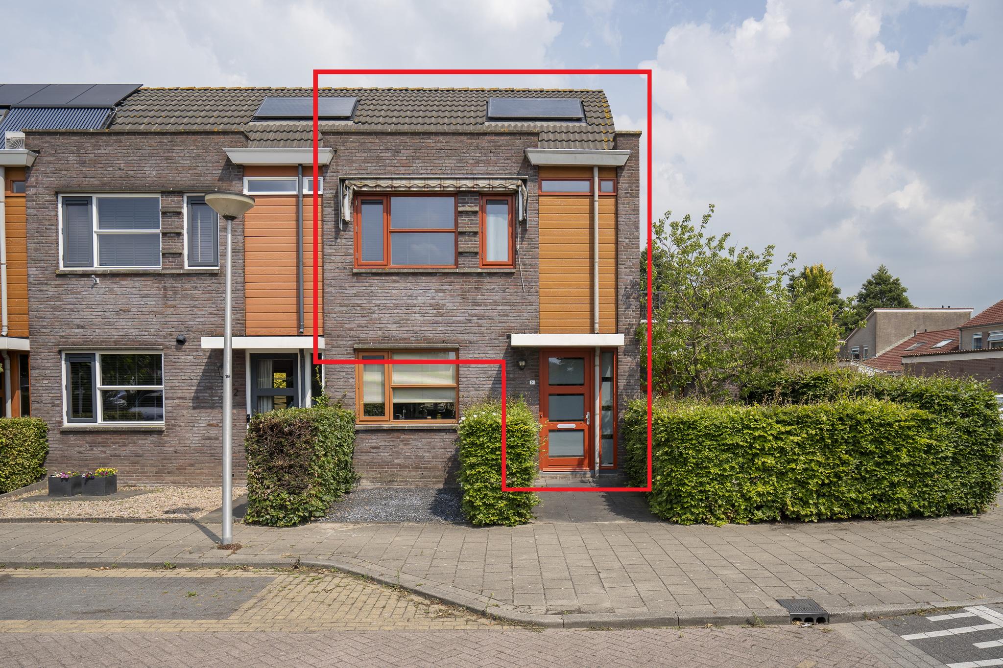 Kamperfoelie 24, afbeelding 0