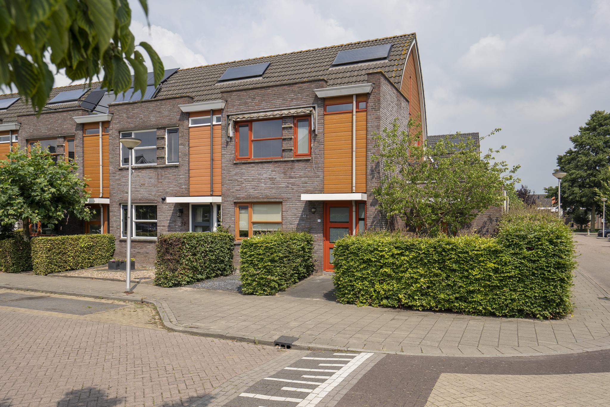 Kamperfoelie 24, afbeelding 4