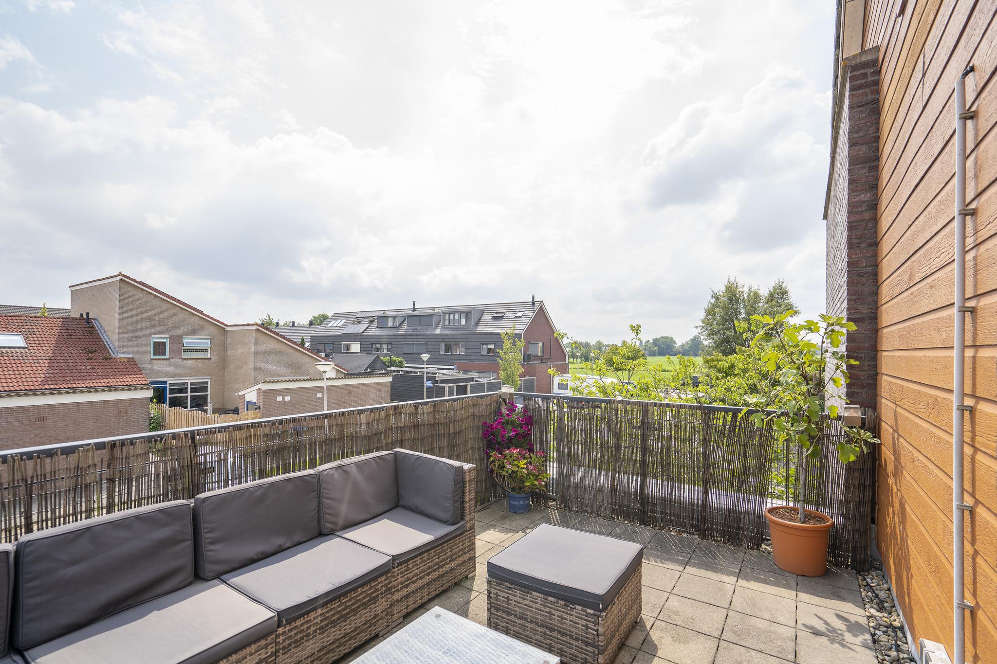 Kamperfoelie 24, afbeelding 10