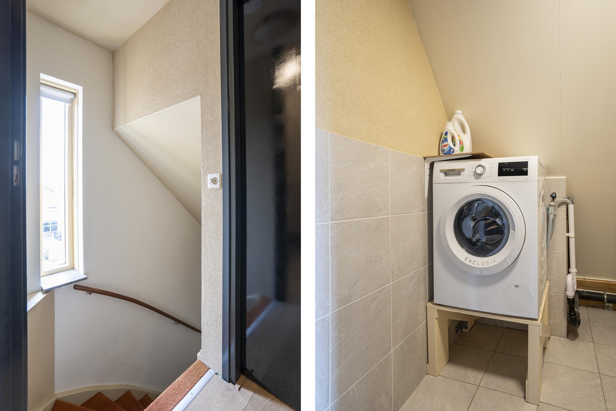 Kamperfoelie 24, afbeelding 19