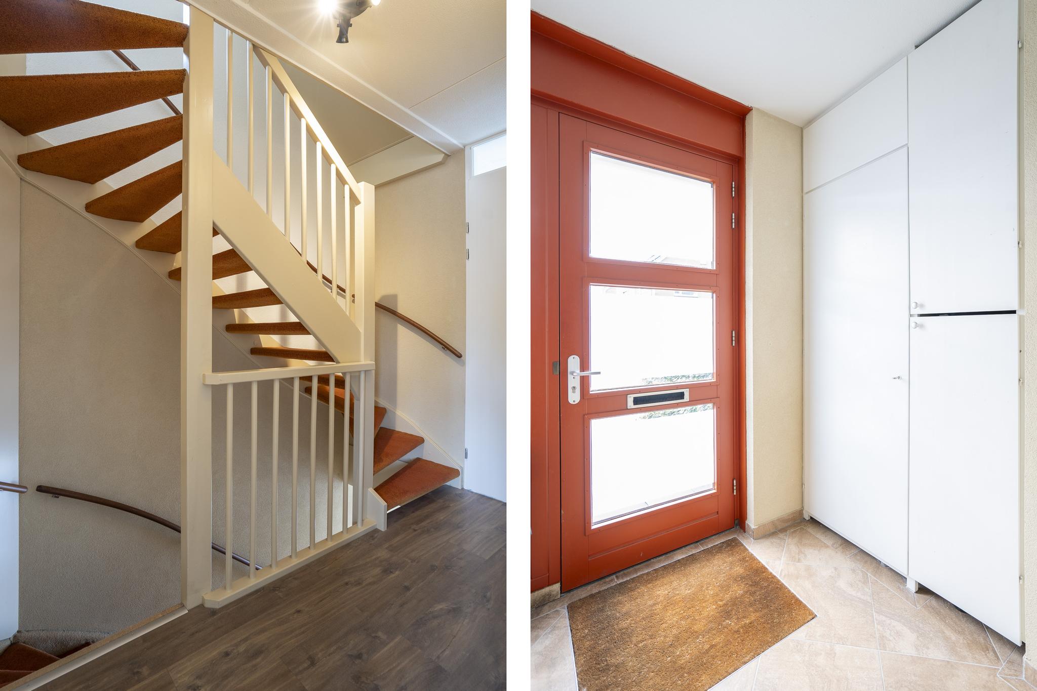 Kamperfoelie 24, afbeelding 21