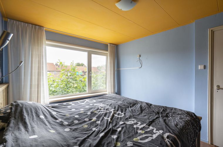 Afbeelding 24