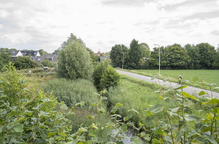 Afbeelding 24