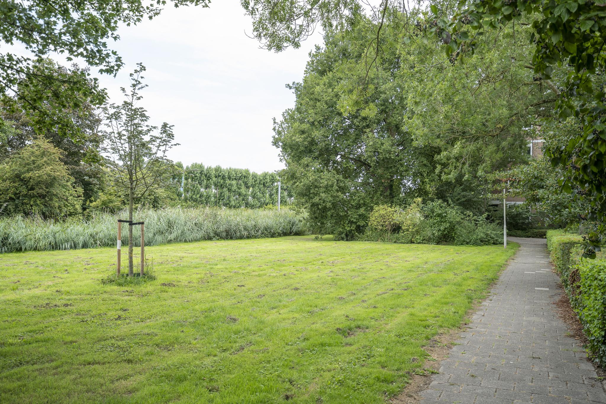 Gruttershof 1, afbeelding 18