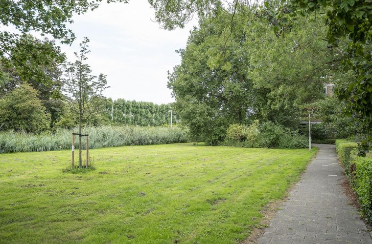Afbeelding 18