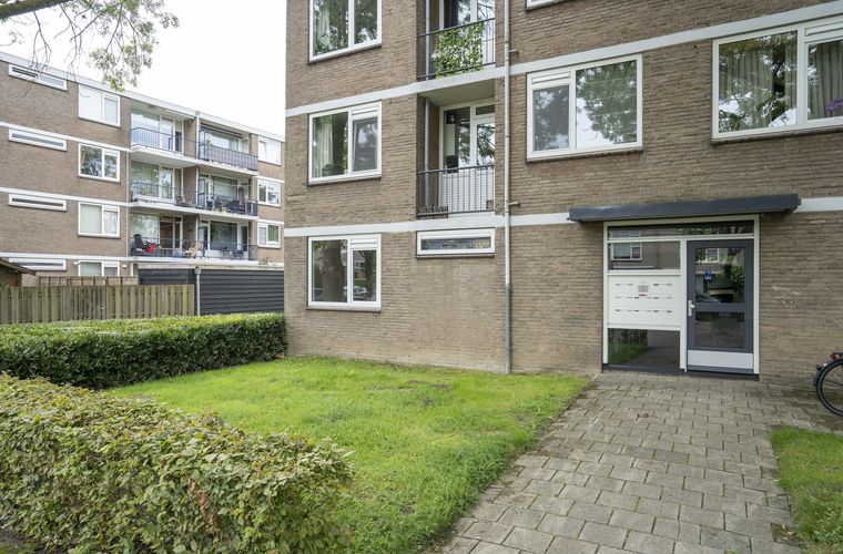 Afbeelding 16