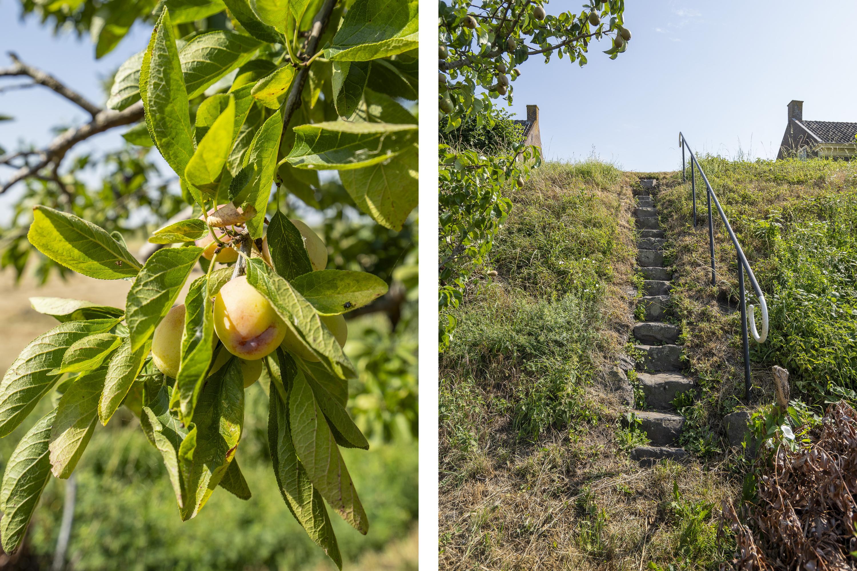 Waaldijk 67, afbeelding 49